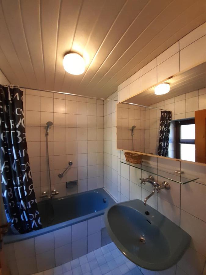 Apartmán Miniponyhof Biohof Almbauer Waidhofen an der Ybbs Exteriér fotografie