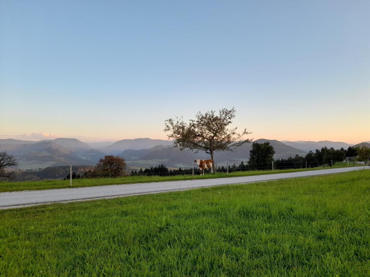 Apartmán Miniponyhof Biohof Almbauer Waidhofen an der Ybbs Exteriér fotografie