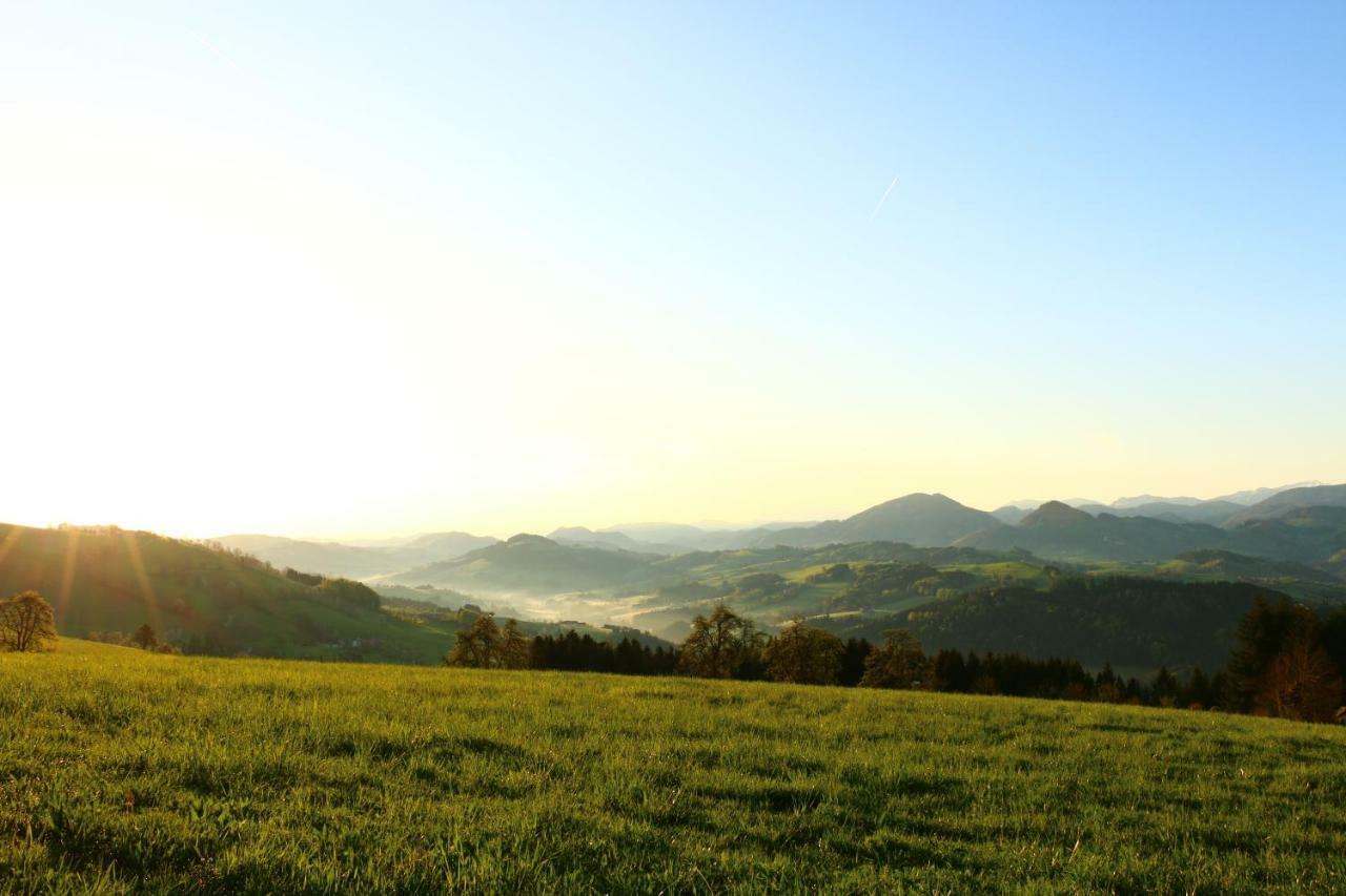 Apartmán Miniponyhof Biohof Almbauer Waidhofen an der Ybbs Exteriér fotografie