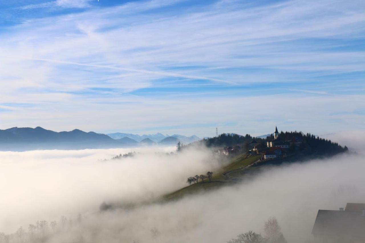 Apartmán Miniponyhof Biohof Almbauer Waidhofen an der Ybbs Exteriér fotografie
