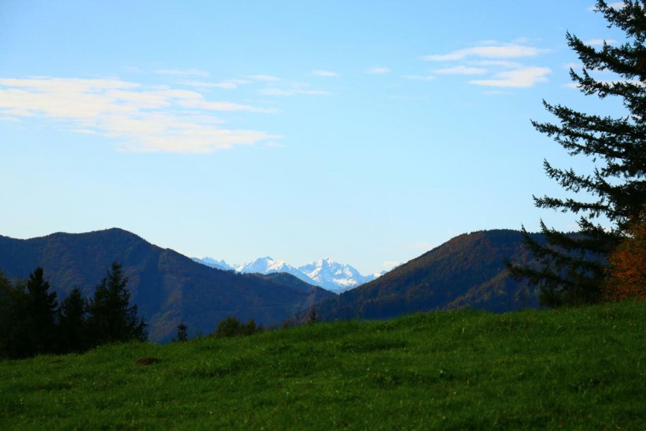 Apartmán Miniponyhof Biohof Almbauer Waidhofen an der Ybbs Exteriér fotografie