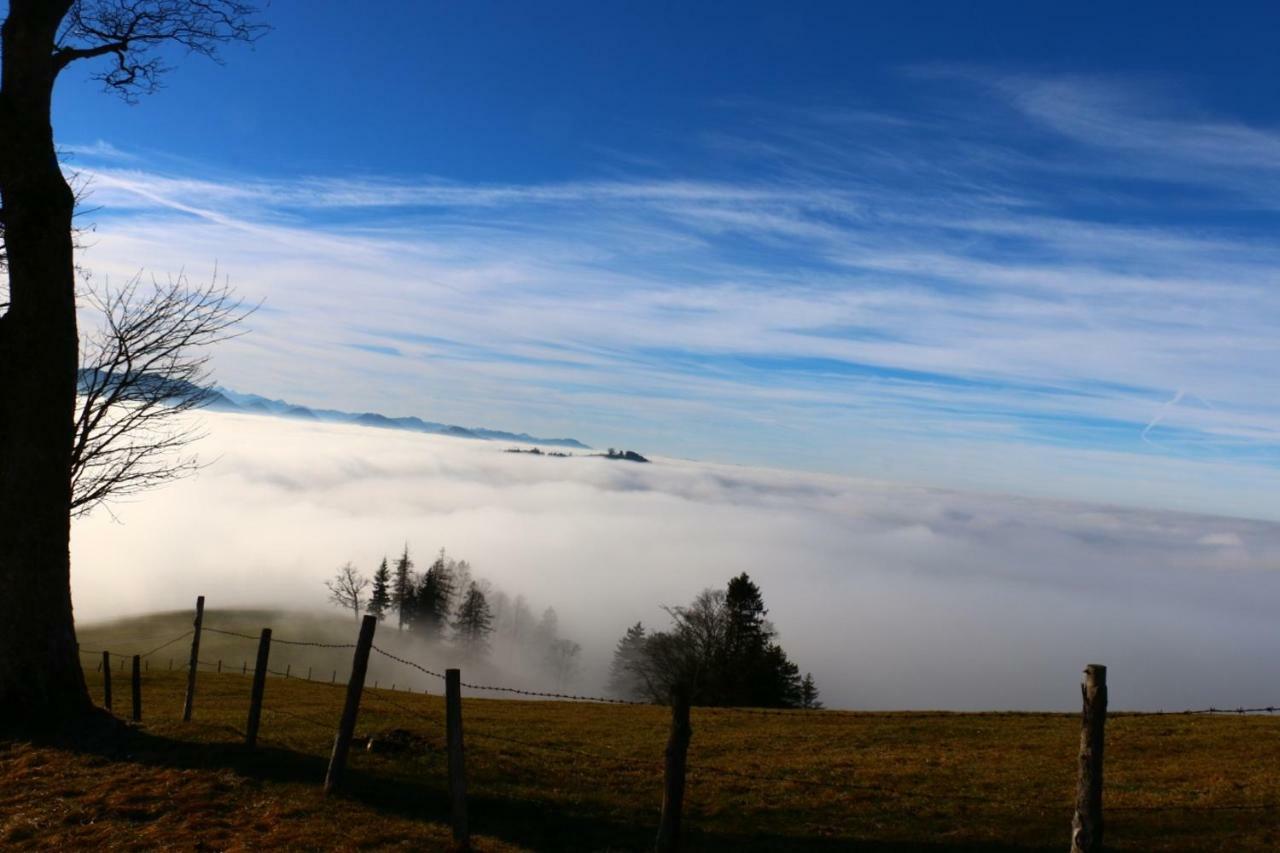 Apartmán Miniponyhof Biohof Almbauer Waidhofen an der Ybbs Exteriér fotografie