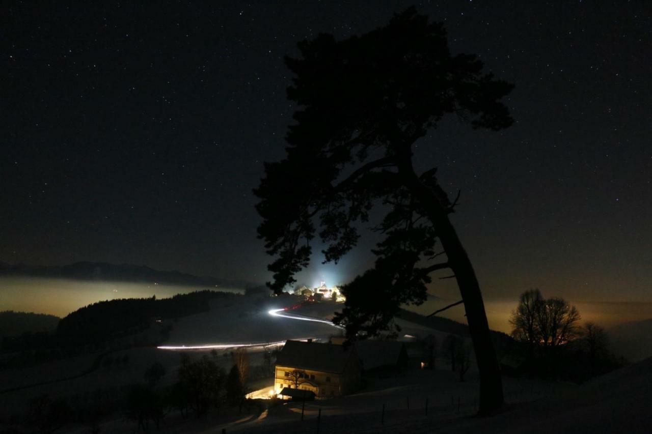 Apartmán Miniponyhof Biohof Almbauer Waidhofen an der Ybbs Exteriér fotografie