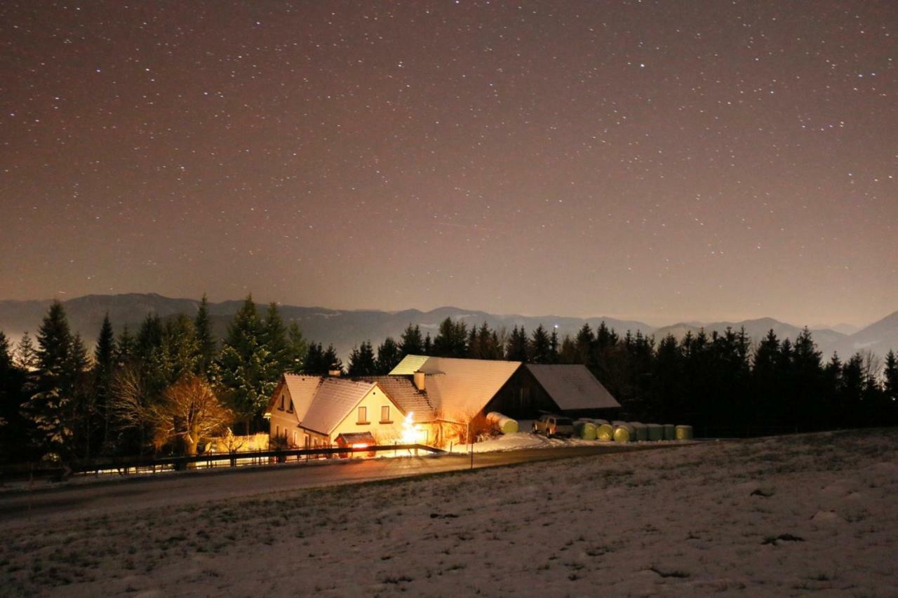 Apartmán Miniponyhof Biohof Almbauer Waidhofen an der Ybbs Exteriér fotografie